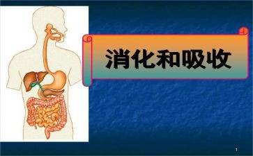 消化内科护理工作总结6篇