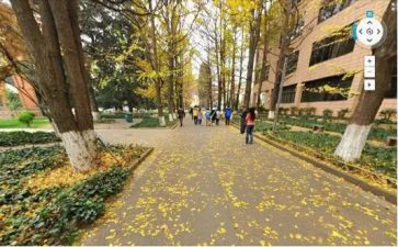 学校内网申请书6篇