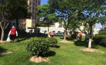 小区物业秩序员年终总结8篇