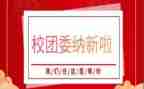 学校团委年度工作总结6篇