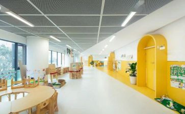 小学感恩的心演讲稿优质7篇