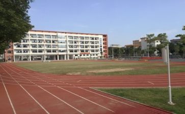 校园代调研报告7篇
