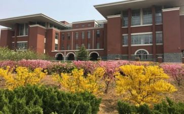 校园周总结报告5篇