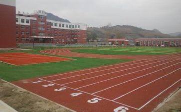 校园周工作总结优质7篇