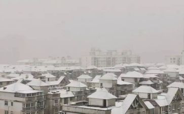 小学生下雪作文8篇