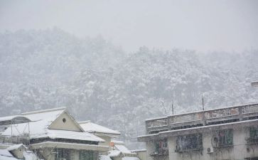 2年级下雪的作文7篇