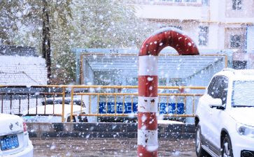 下雪作文400字8篇