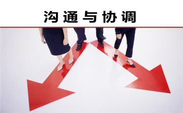 协调科工作总结8篇