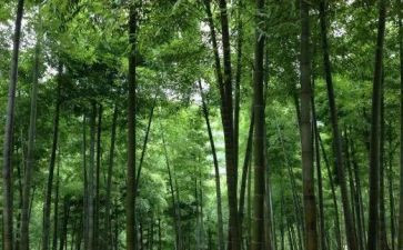 写物业公司心得体会8篇