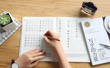 60只蚊子写作文7篇