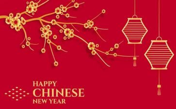 护士新的一年工作计划8篇