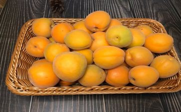 家乡的杏作文通用6篇