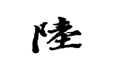 姓陆的调查报告优秀6篇