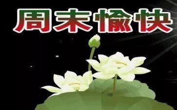 听难忘的星期天的作文8篇