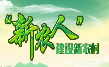 新农村调研报告7篇