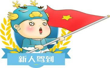 职场新人年度总结6篇