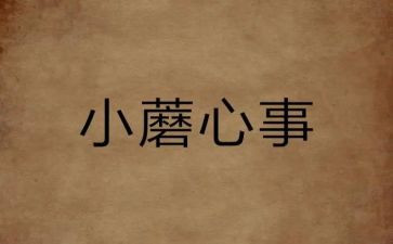 开心事的作文优质7篇