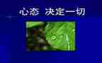 读阳光心态心得体会6篇