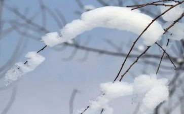 关于雪演讲稿优质7篇