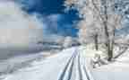 描写雪的作文600字最新5篇