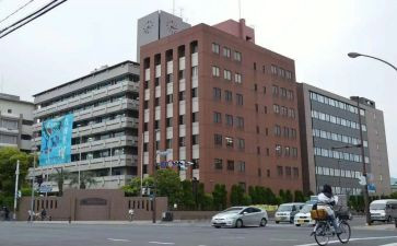 学部主任工作总结6篇