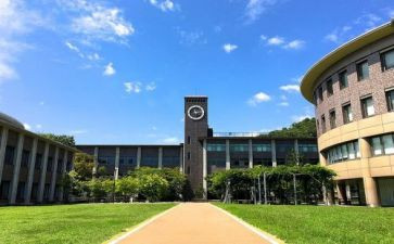 大学部门工作总结个人总结范文8篇