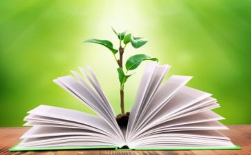 幼儿园老师带教学工作总结5篇