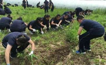 小学农村教师心得体会8篇