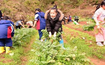 小学农村工作计划优秀6篇
