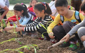 小学农村工作计划5篇