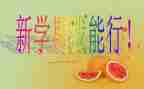 学期个人总结和下学期计划7篇