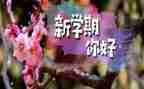 小班配班学期工作总结7篇