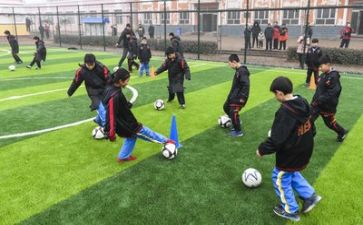 学习葛均波心得体会精选8篇