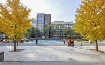 学校和学校的调研报告5篇