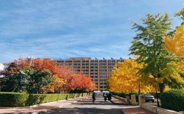 学校教研工作计划精选5篇
