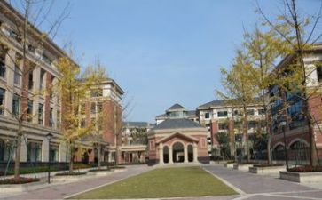 初来学校心得体会最新6篇