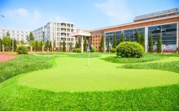 学校教师调研报告6篇