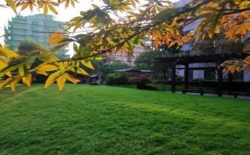 有关学校环保的演讲稿5篇