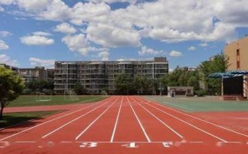 学校公益活动方案8篇
