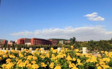 给学校的工作计划模板8篇