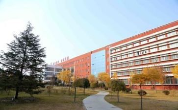 关于学校的调研报告7篇