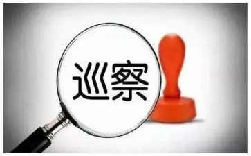 参加巡察组个人总结8篇