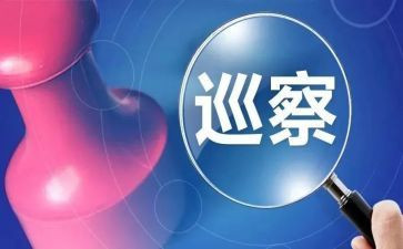 巡查员年度总结8篇