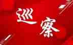 巡察组述职述廉报告5篇