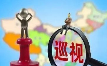 巡视组工作总结8篇