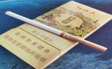 禁止吸烟的教案7篇