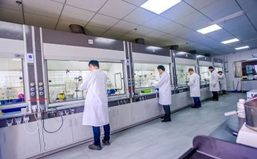 研发部2024年工作计划5篇