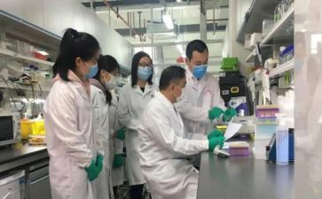 研发员工作总结通用5篇