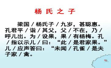 杨氏之子优秀教案5篇