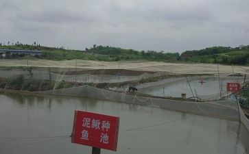 养殖事迹8篇